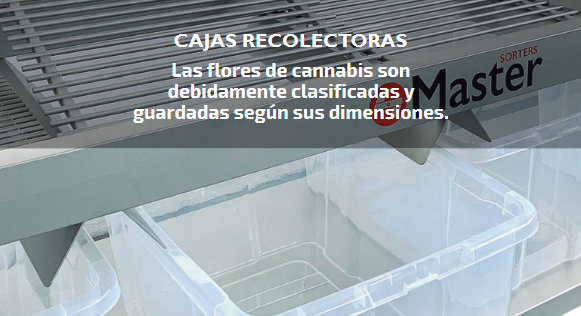 Cajas recolectoras de cogollos